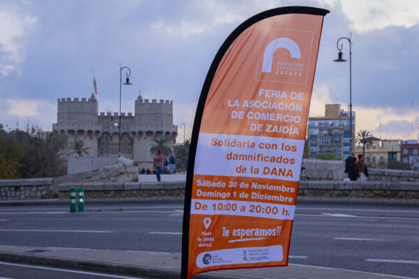 241130131_w-1024×683